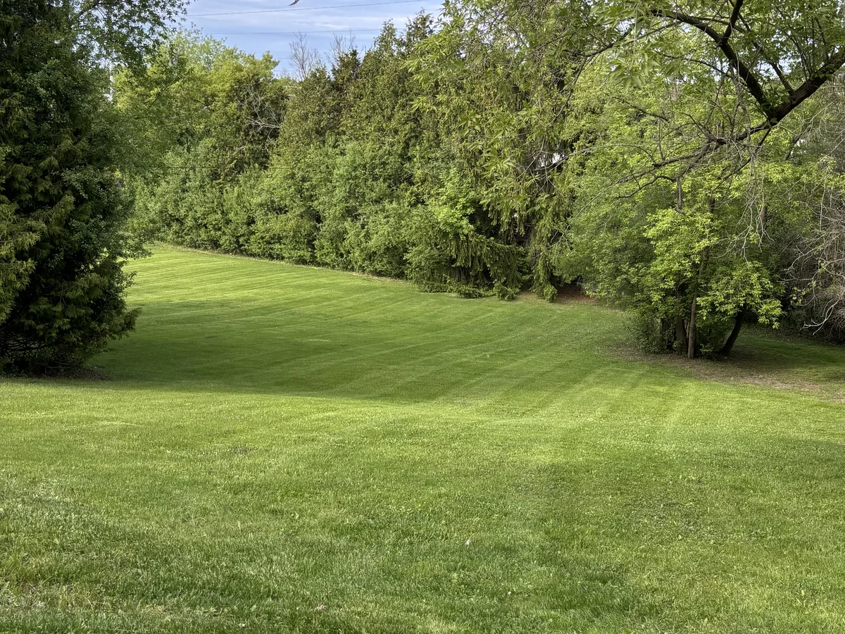 Large open lawn mowed in wide alternating stripes with an even cut height across uneven ground