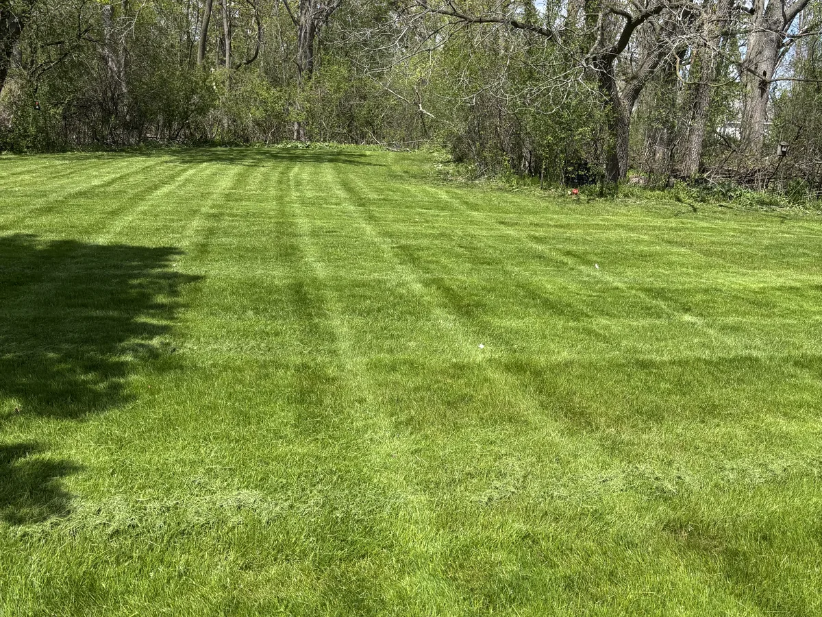 Open lawn mowed in straight stripes with a uniform cut height and a trimmed border along the wood line