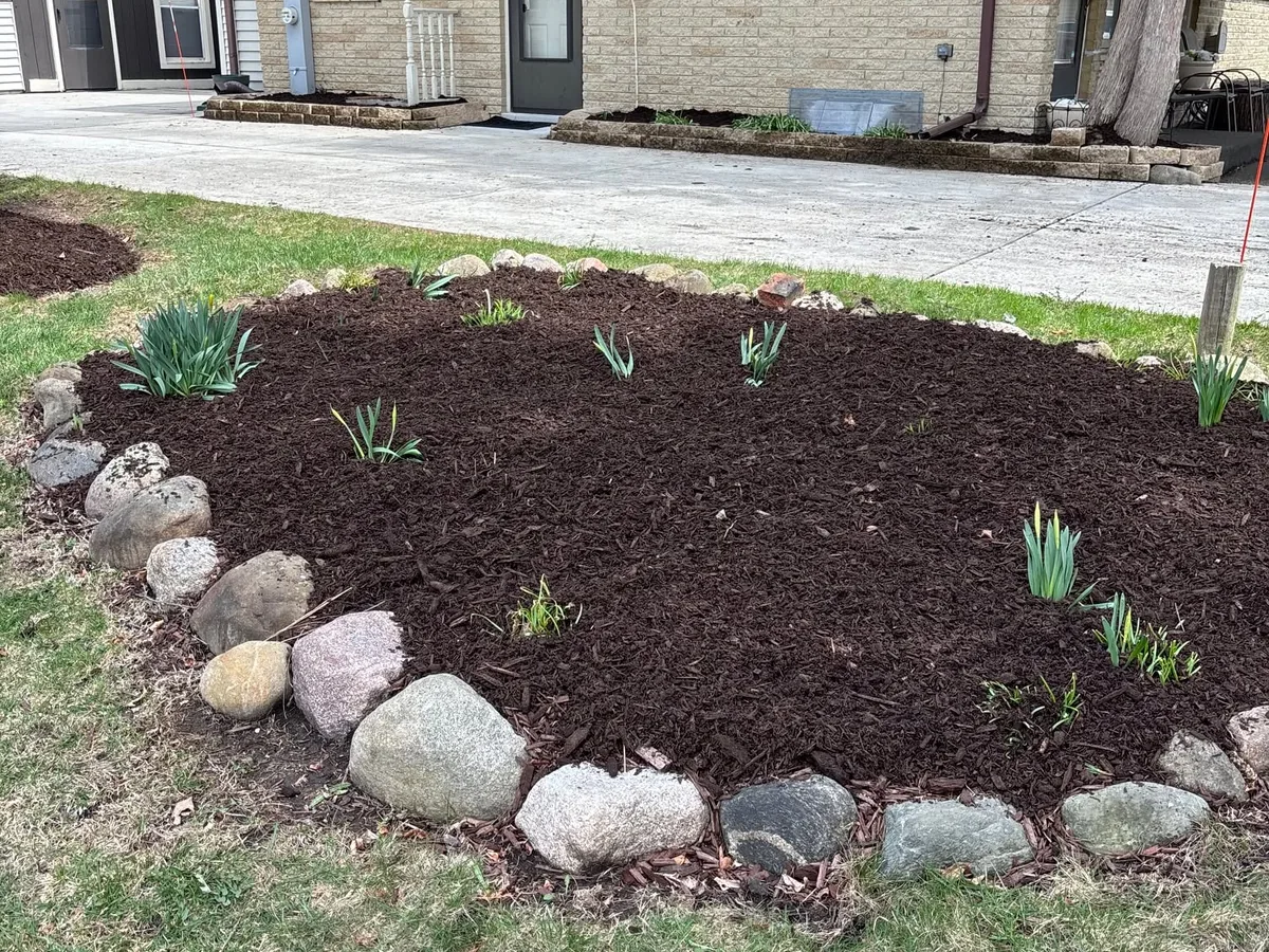 Mulch bed edged with fieldstone boulders and new plantings