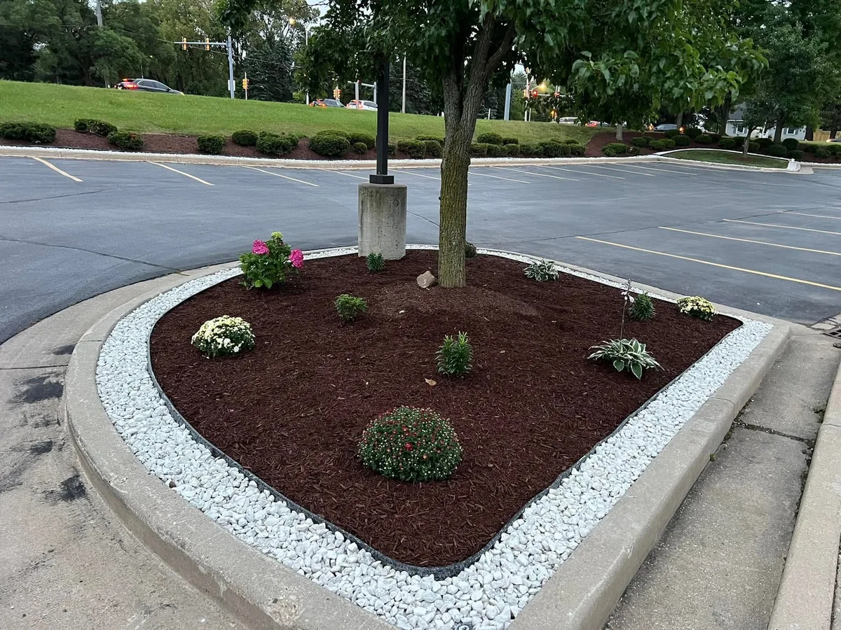 Mulch island edged in white rock with a tree and trimmed shrubs
