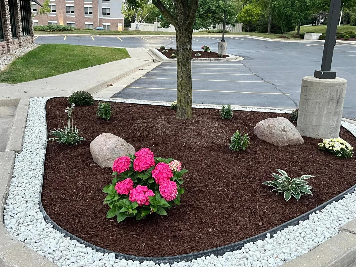 Mulch bed with white rock border and pink hydrangeas