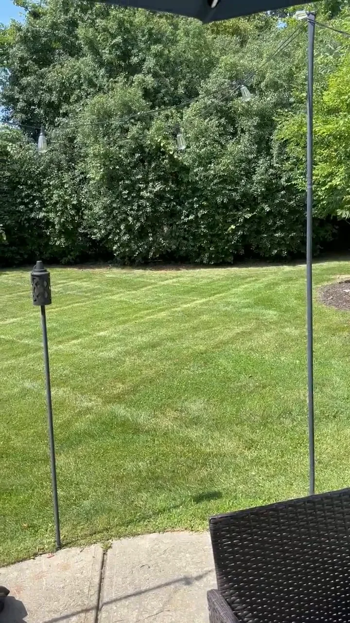 Residential backyard cut into an even checkerboard square pattern up to the patio edge