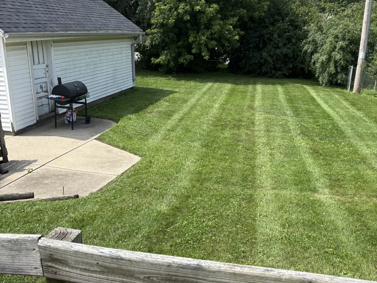 Backyard lawn mowed in straight alternating stripes with trimmed edges along the fence line